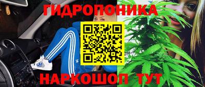 сатива Изобильный