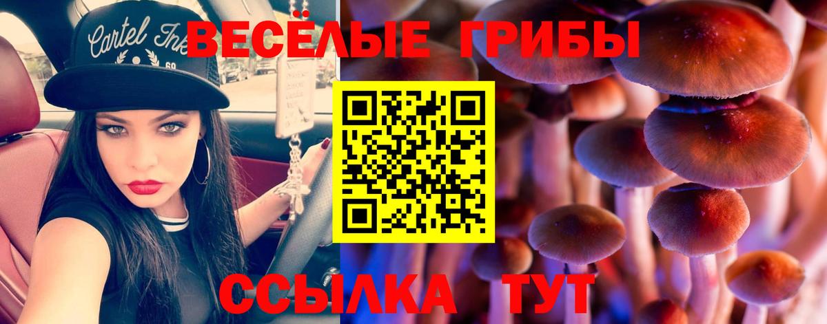 Галлюциногенные грибы мухоморы  Вход с VPN  Люберцы 